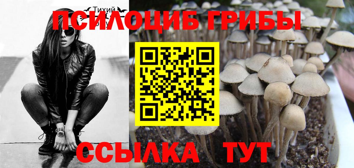 Галлюциногенные грибы прущие грибы  Галлюциногенные грибы мухоморы  Севастополь  Вход с VPN 