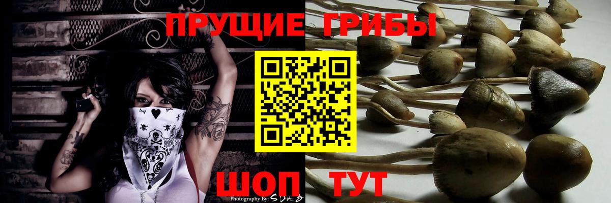 Псилоцибиновые грибы мухоморы Севастополь
